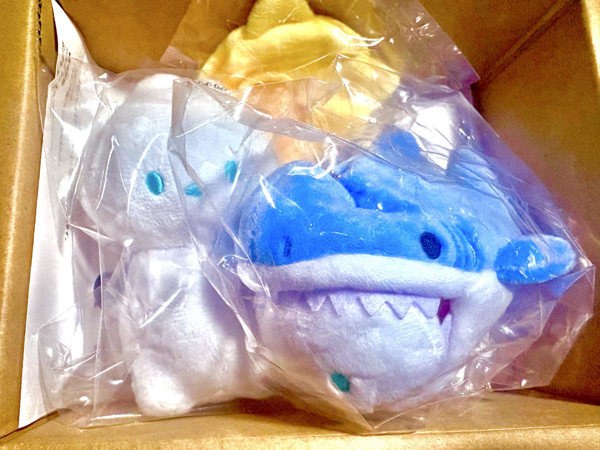 rirou_1024's tweet photo. 🦈( '-' 🦈)ｻﾒ届いたぁ✨️

前回の雨ぐらしと共に☔️
(置き場に迷いまだ開封すらされてないw)

応援してくれた皆ありがとっ🥳 https://t.co/IvYgWkdegC