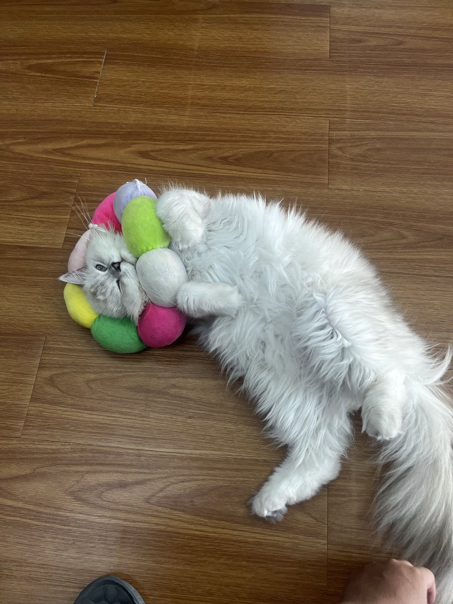 TarSmithxe's tweet photo. @withinmebt ตัวนี้ได้มั้ย https://t.co/wzV7M09Fm0