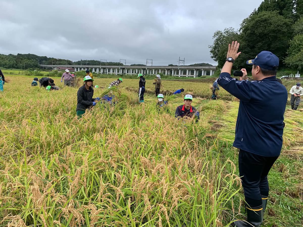 oodairahnw's tweet photo. 棒掛けも予定通りに終わって集合写真を撮りました。
11月8日(日)の収穫祭で今日の稲刈りを行った「こがねもち」で「餅つき」をして、郷土料理の「ザクザク」を無料で食べて頂きます。どなたでも参加出来ます。 https://t.co/iO7EfN01vX