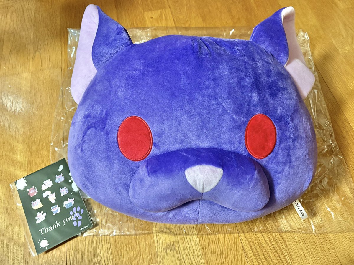 ykannui's tweet photo. チラズアートさんのクラファン返礼品のチラ丸クッション届いた✨
かわいいけど思った以上に大きい 笑 https://t.co/NmSW3EjL29
