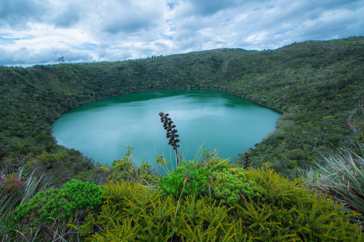 Alfred_Balle's tweet photo. Así de fácil puedes convertir un fin de semana en una gran aventura: 
Seguir las huellas de la leyenda de El Dorado en el Parque Laguna del Cacique Guatavita, caminar bajo las estrellas en El Neusa, conocer el cerro Terebinto, buscar tinguas en Puente Sopó o navegar en kayak en alguno de nuestros embalses. 
Nuestras Aulas Ambientales Abiertas de la @CAR_Cundi te invitan a vivir la naturaleza, aprender de ella y convertirse en aliados de su conservación.