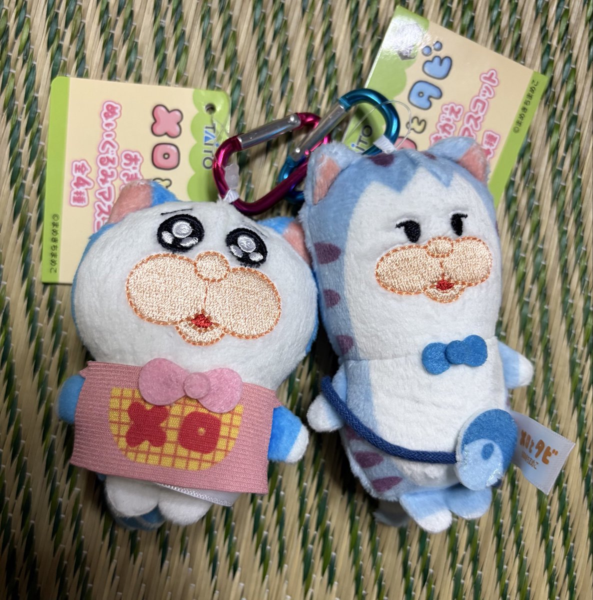 moco__conchan97's tweet photo. 神⭐︎神⭐︎神
メロとタビ両方ともGET卍
😼😸🩵🤍 https://t.co/tW3MoXhyVM