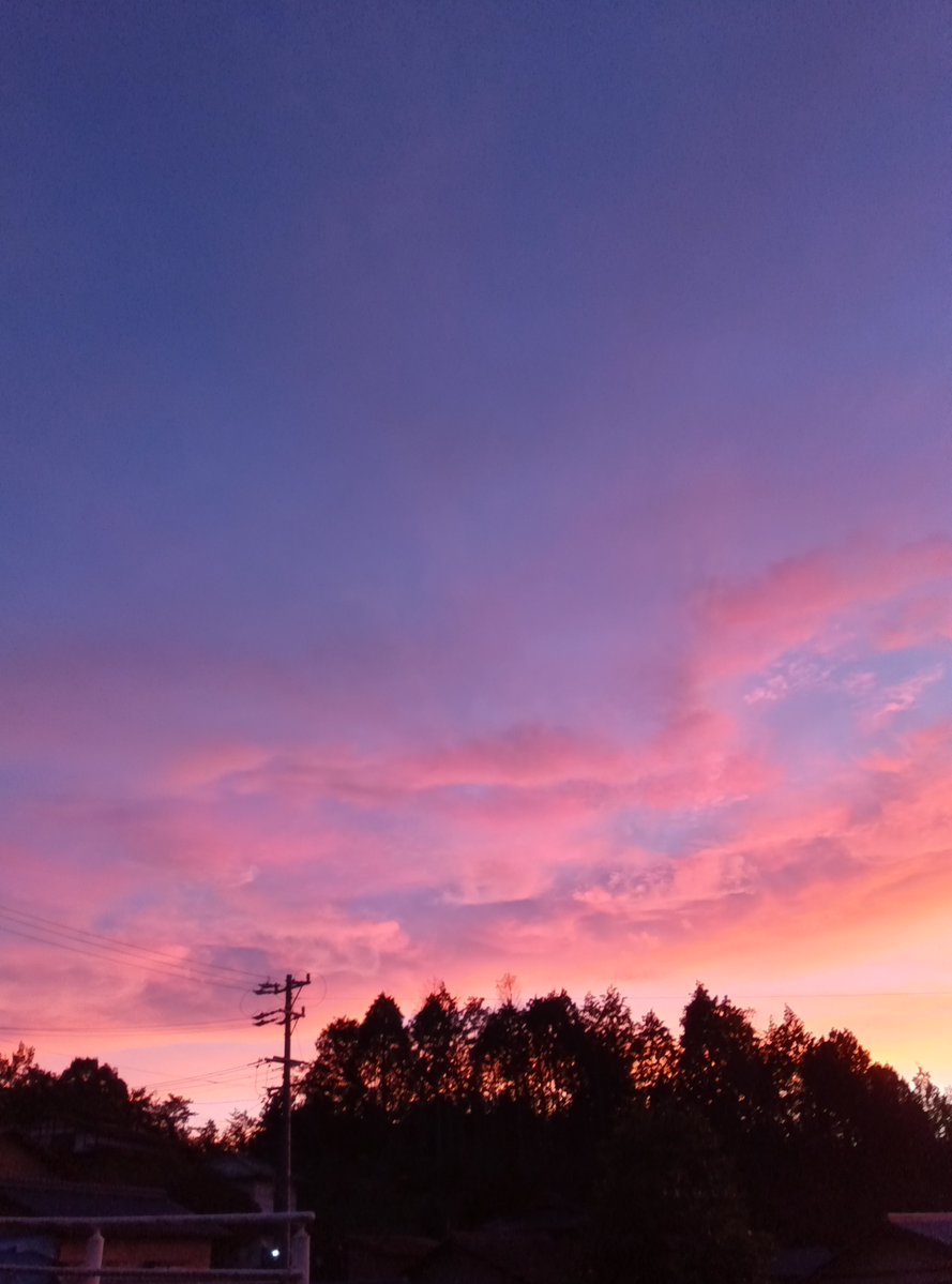 ajisai323's tweet photo. 【日曜句会】
狂ふみづひと逃れゆく秋夕焼
助けなき怯ゆるひとの野分かな
美樹
#pephaiku
台風がまた近づいています。被災地の方々にこれ以上災害が加わりませんようにお祈り申し上げます。🙏 https://t.co/ZwAaQyc8f1