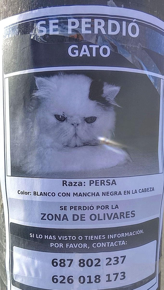 OfGabino's tweet photo. Cartel visto en Oviedo. https://t.co/Fs4JTqb9kp