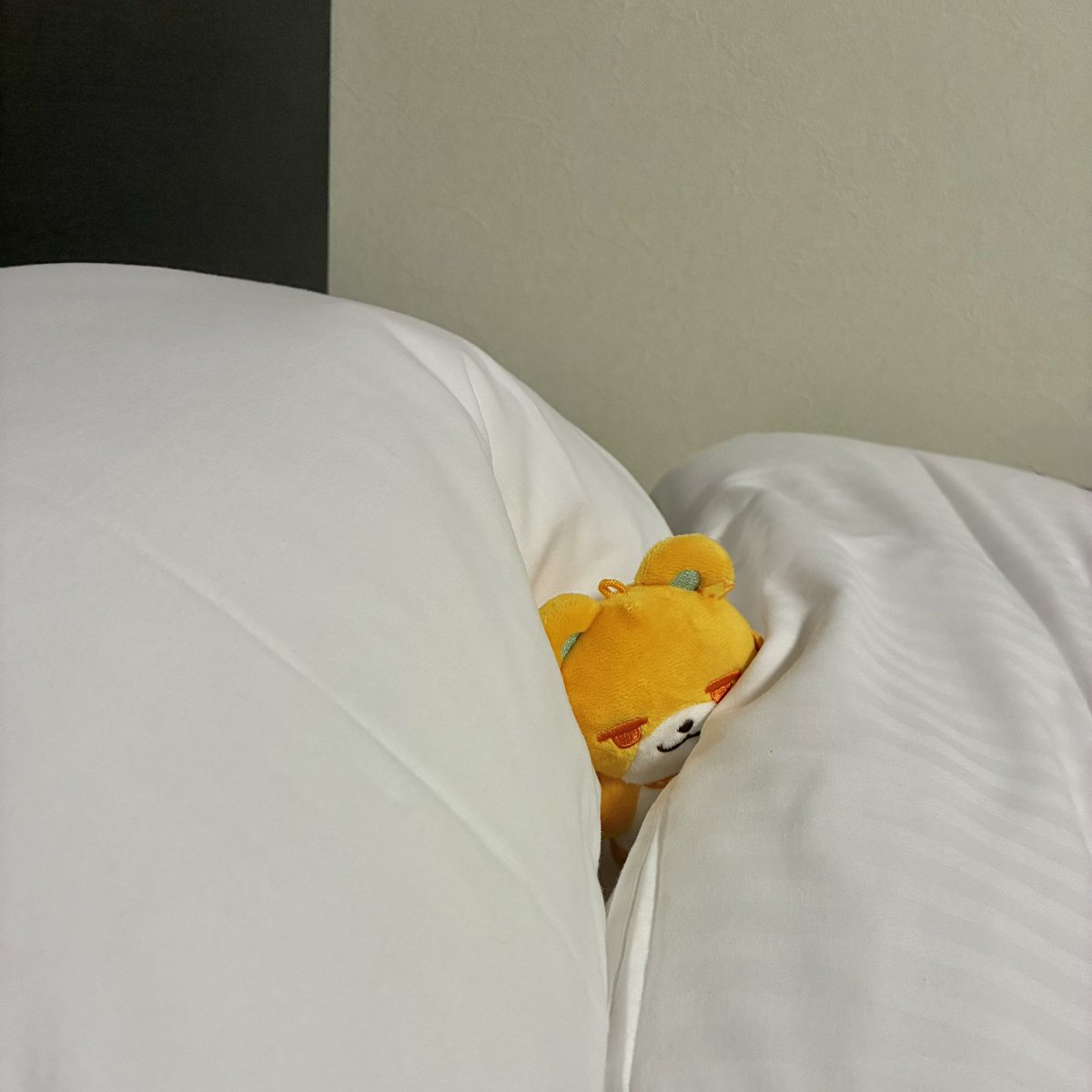 ngya00's tweet photo. ｢人間はさ、たうんのどこが好きなの？｣ https://t.co/d2GKlvsWx3
