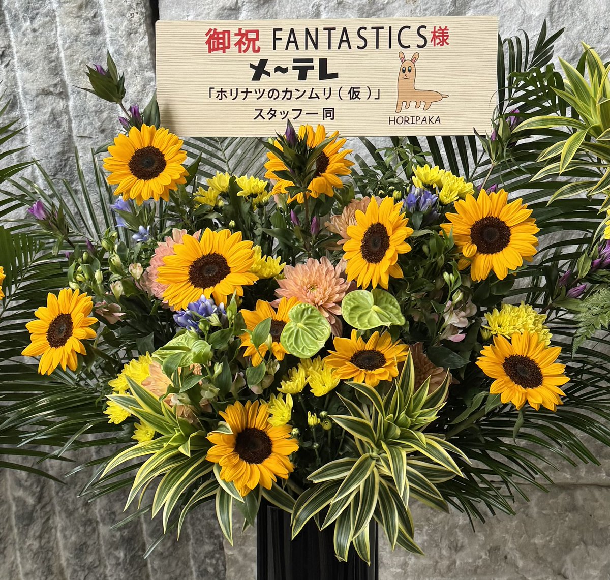 o2mk801's tweet photo. 「ホリナツのカンムリ（仮）」としては最後のお花になるんだなぁ、と噛み締めながら撮りました🦙💐 https://t.co/HmOMTOn9hp