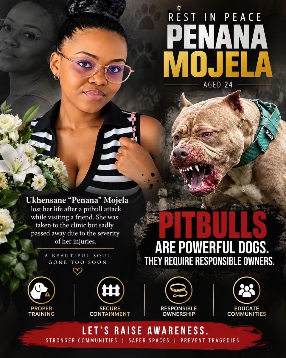 presh_rabbit's tweet photo. That's why I hate pitbulls. Can't you chain your dogs or something? https://t.co/3VuQfi8smb