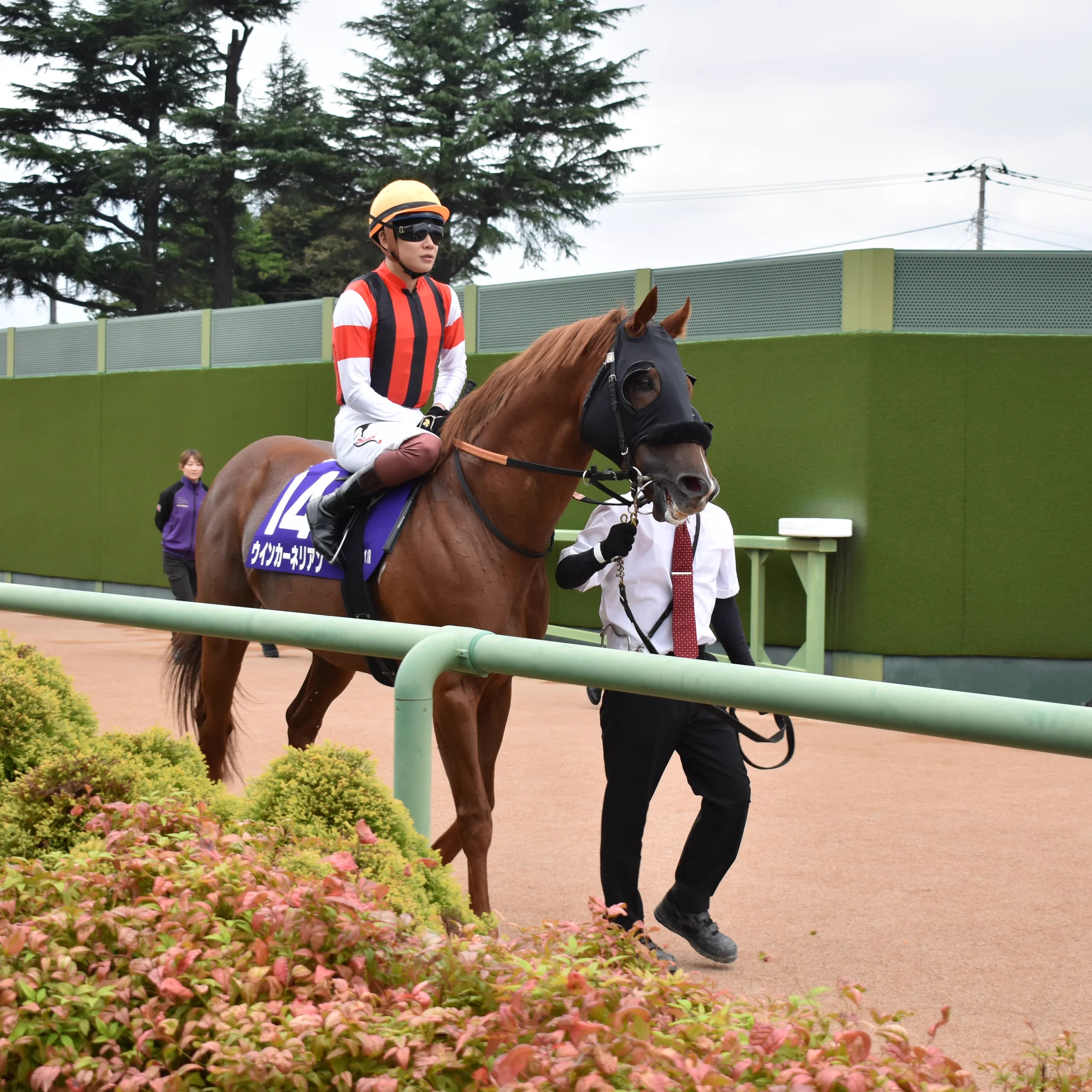 モトテツ😸💕🐎✨️…🐲 on X: 