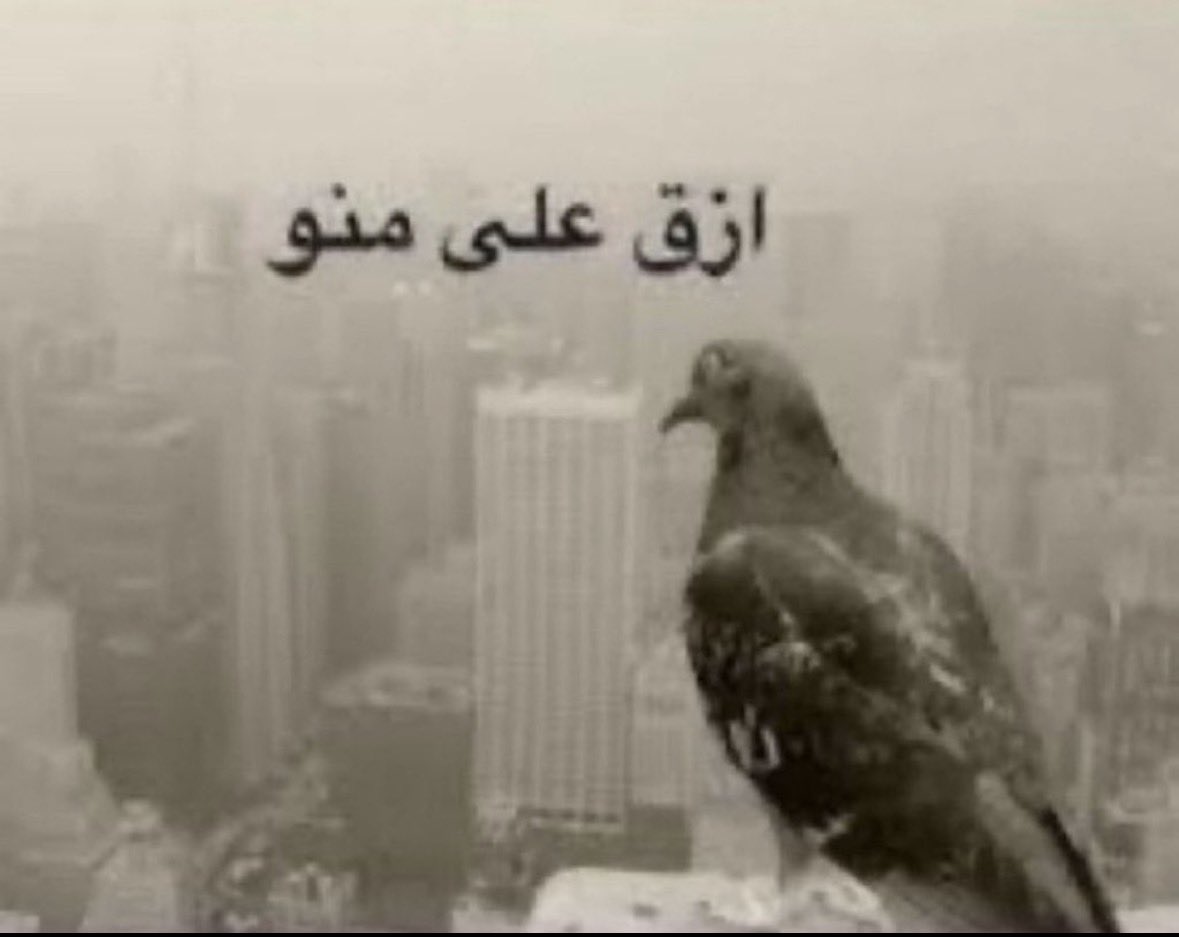 l__wbb's tweet photo. يوم الاحد https://t.co/EjEHKOerrt