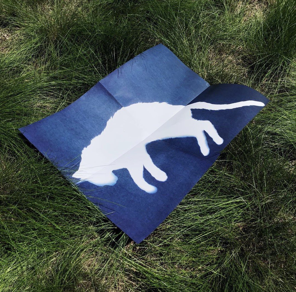 ConRayArt's tweet photo. Seeing this in the grass is the purest form of the artwork for me, Alex (2018) is a truly beautiful piece by Julia Schlosser https://t.co/yDWJjKfi9V