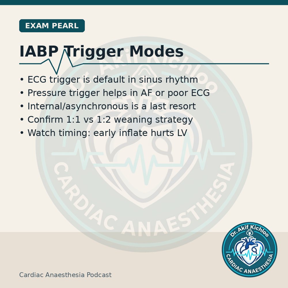 akifkichloo's tweet photo. SAM, Heparin &amp; IABP
HOCM/SAM haemodynamics, heparin on CPB, protamine pitfalls, IABP triggers.
Cardiac Anaesthesia Podcast
#CardiacAnaesthesia #CardiacAnaesthesiaPodcast #MedEd #CardiacOR https://t.co/xl98r5pVwr