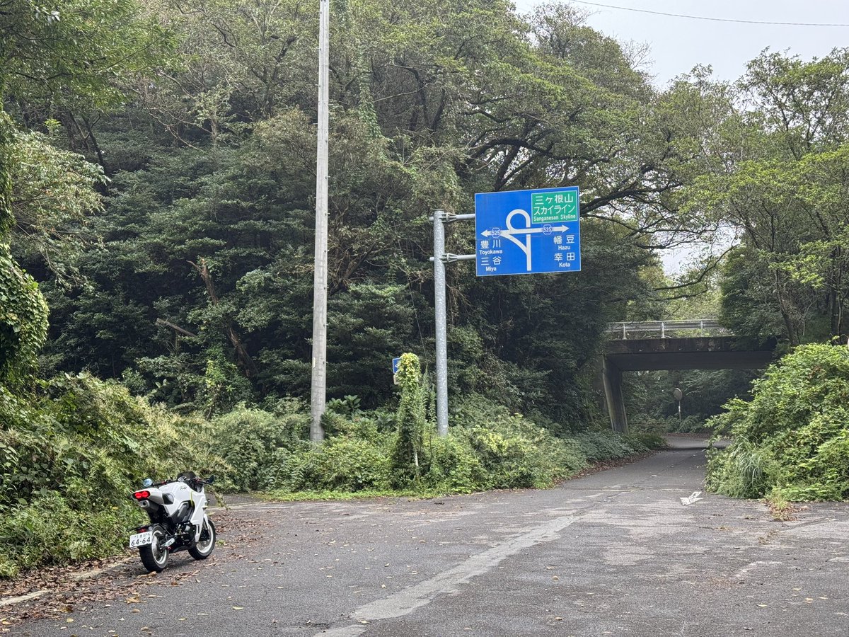 kuroneko_91ver2's tweet photo. 2〜3年ぶりに三ヶ根スカイラインに行ってみたけど...
これ、廃道じゃねぇの？
こんな鬱蒼としたICとか🤣🤣🤣 https://t.co/6xYX3fjs8w