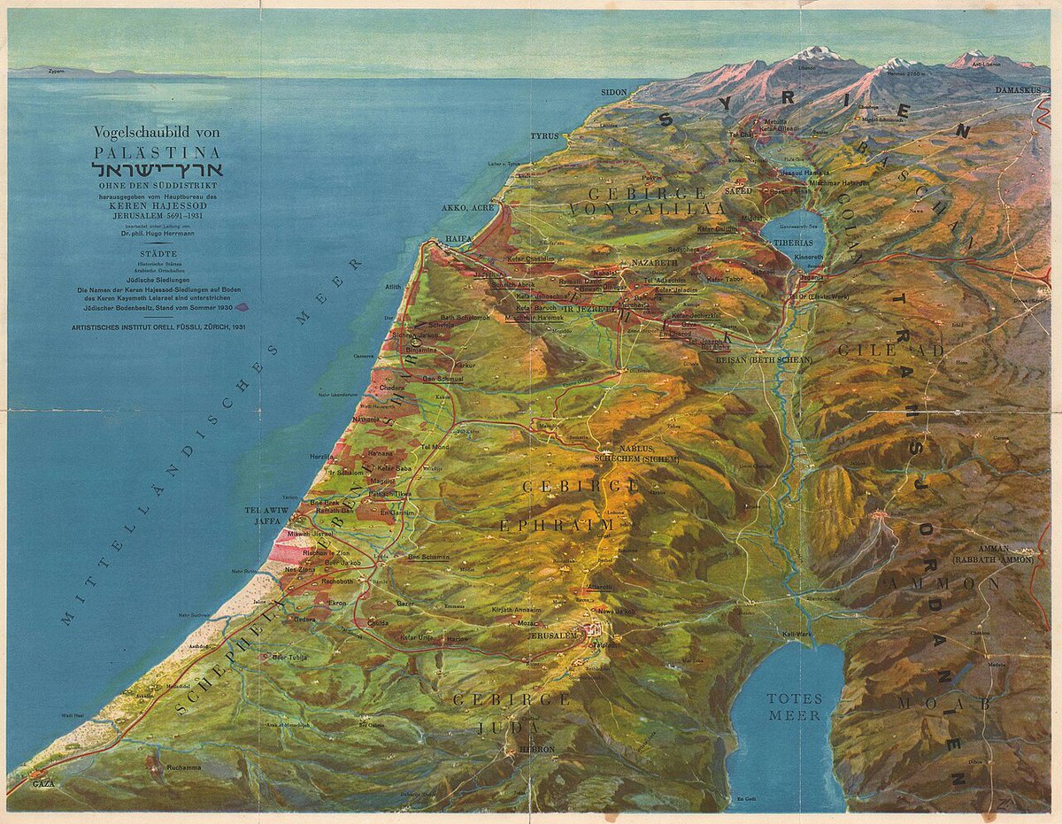 HeleneNish's tweet photo. تقدم خريطة فلسطين من عام 1931 بمنظور جوي رؤية فنية شاملة للمدينة ومحيطها في مرحلة تاريخية مهمة. تجمع بين الجغرافيا والسرد البصري، وتُظهر المباني والشوارع والتضاريس والهوية الثقافية، مقدمة ف��سطين كمشهد ��ضري نابض شكّلته التاريخ والمجتمع. https://t.co/EsTx1yld2g