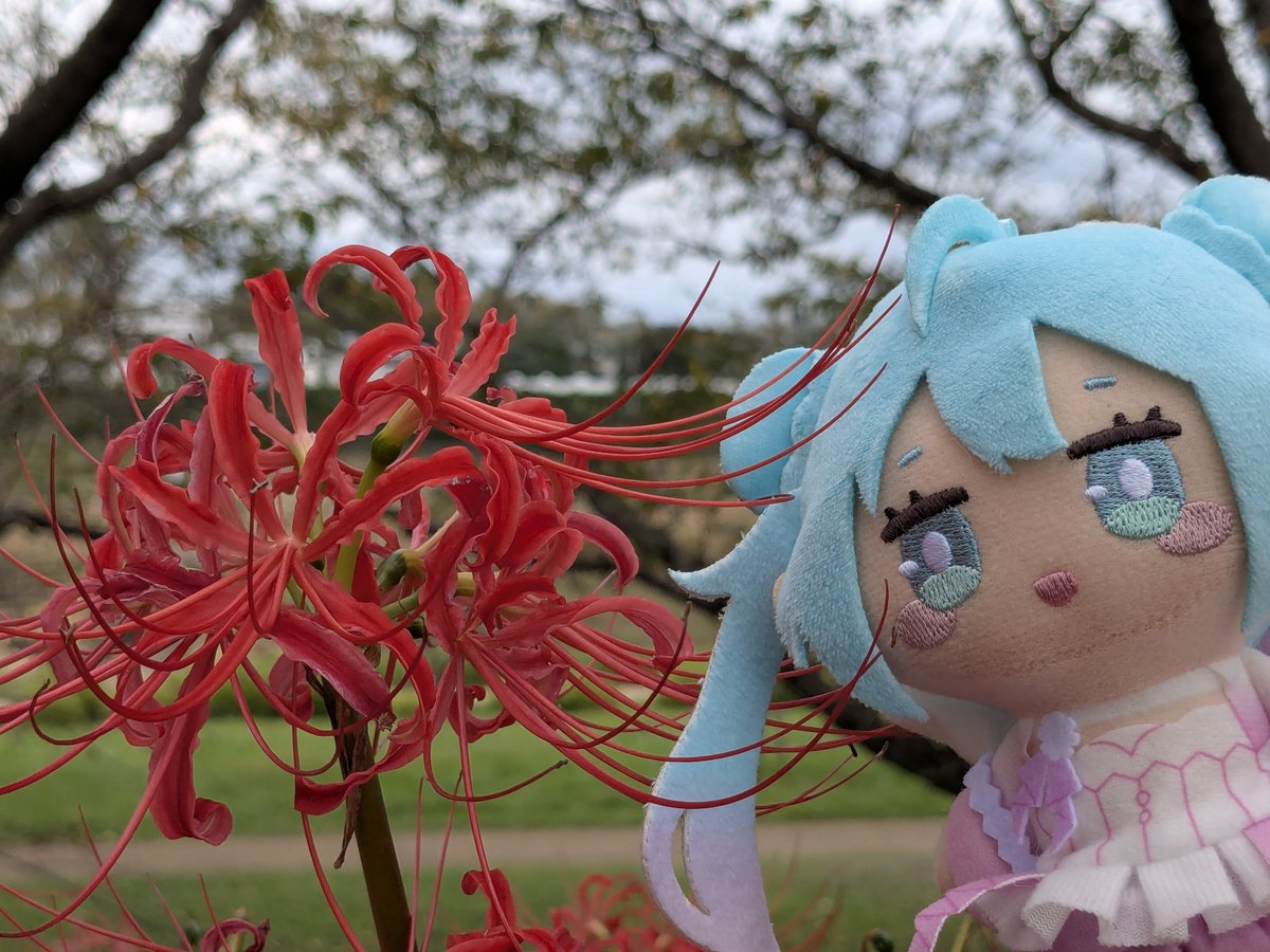 syu_rain_'s tweet photo. 近くの公園でお散歩🐾 https://t.co/Bym3WQcir7