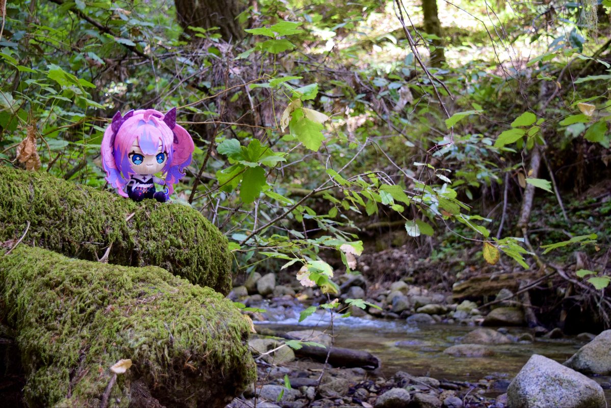 MultiCube26's tweet photo. Mossy Hike 

#ヴィヴィときゅん https://t.co/zXYCTbphaf