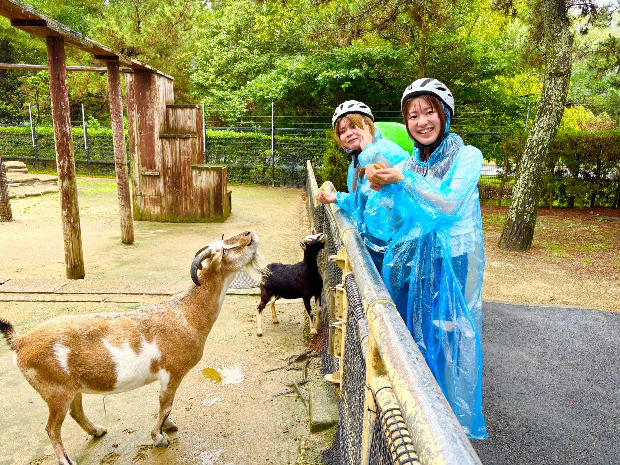 海の中道セグウェイツアー Segway Tour in Fukuoka on X: 