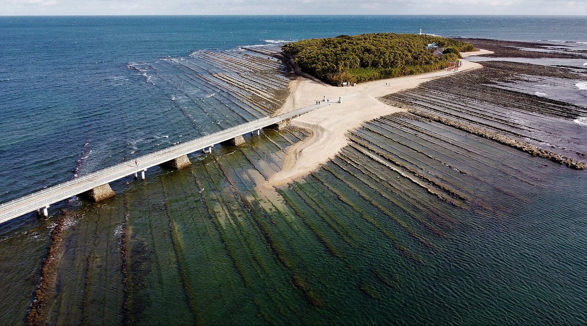 Miyazakipre_bot's tweet photo. ⇦青島(中国)

青島(宮崎)⇨ https://t.co/0f55Hqa2Ar