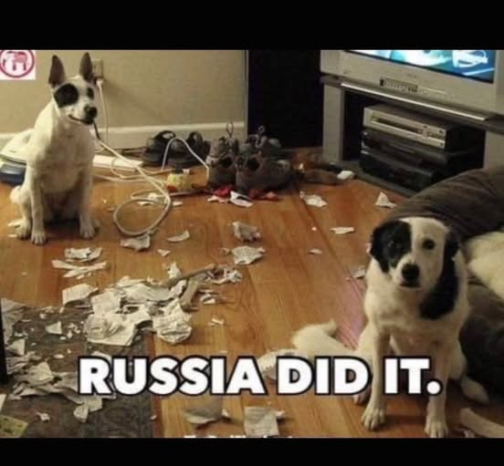 Paulrestore's tweet photo. 🤣 https://t.co/0xh1JuAU1a