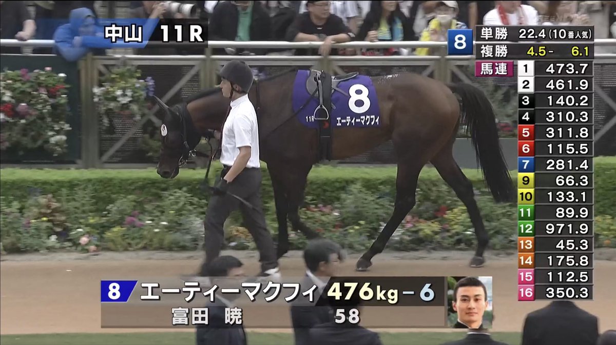 paddock_ojisan's tweet photo. スプリンターズステークス 2026
本命　8 エイティーマクフィ
対抗　9 スターアニス
単穴  13 パンジャタワー https://t.co/LnTvxg3Pfi