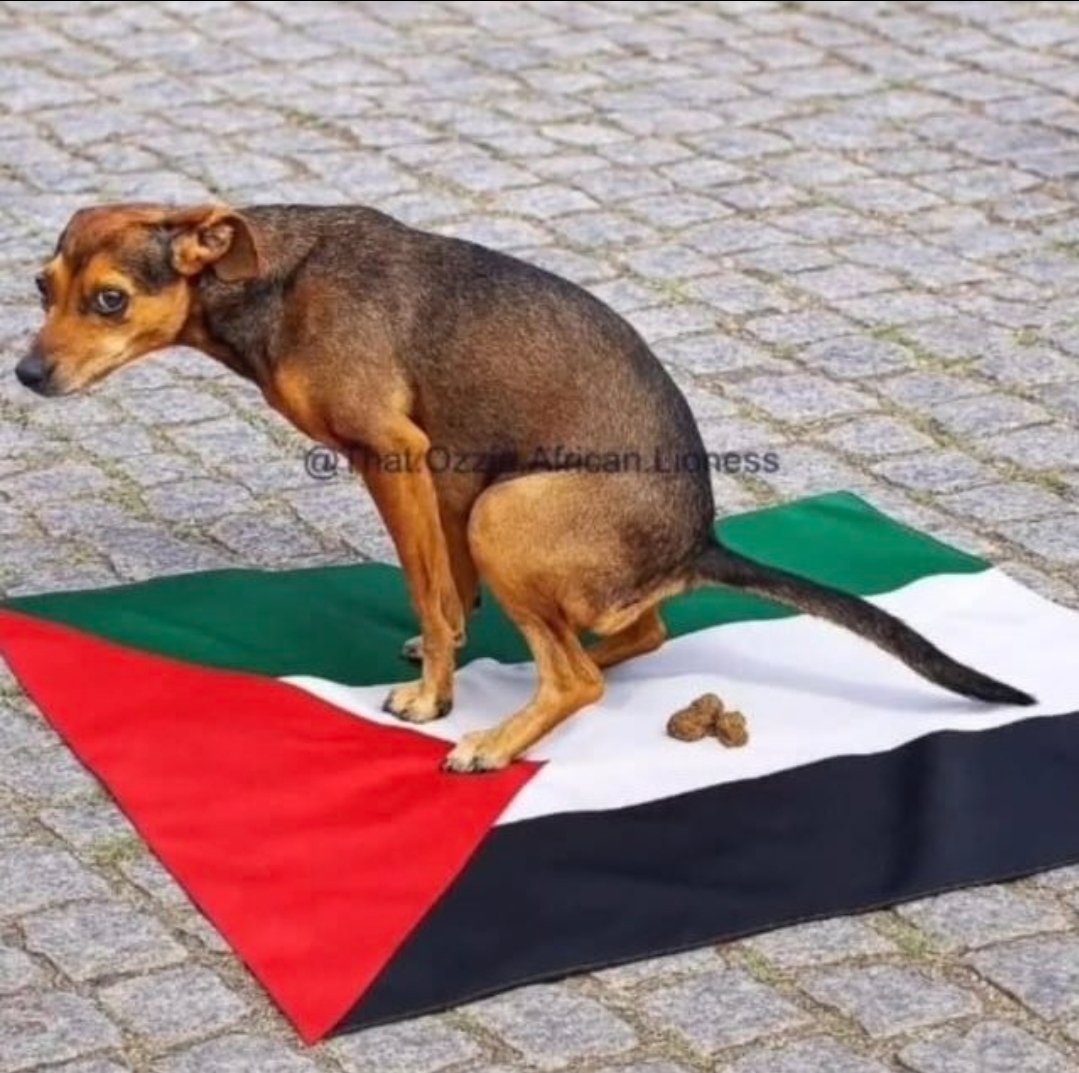 pupak84's tweet photo. #fuckislam
#fuckpalestine https://t.co/TAKQYT2CZJ