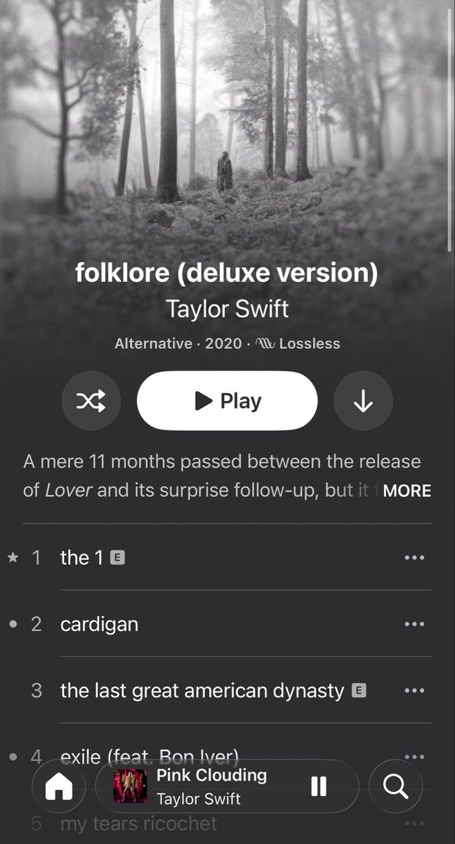 reputushion's tweet photo. streaming the song of the year https://t.co/y1VIx7nkqy