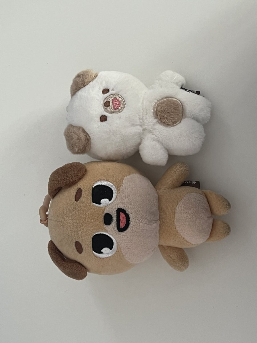 baaaboke's tweet photo. 데이식스 데니멀즈 판매합니다

케 러기지택 (개봉전시/포카포함) 1.5
케 도넛 (개봉전시) 1.2
20 돈+쁘멀 돈 (외출마니햇어요...) 일괄 1.2

꼬질꼬질해서 싸게 판매합니다!
디엠주세요~~~♡ https://t.co/piadzPhPCA