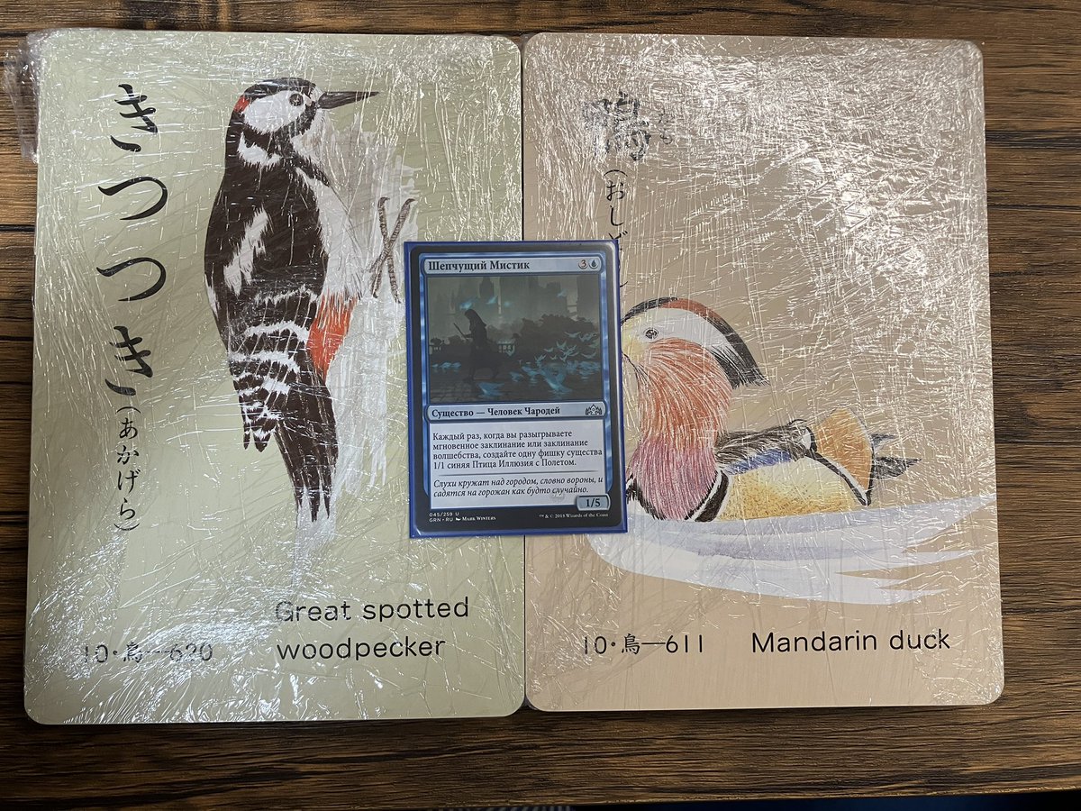 heggie023's tweet photo. パウパーの鳥トークン用にメルカリでポチったら、カードのサイズが思ってたやつと全然違った。 https://t.co/C50nl7Gpsu
