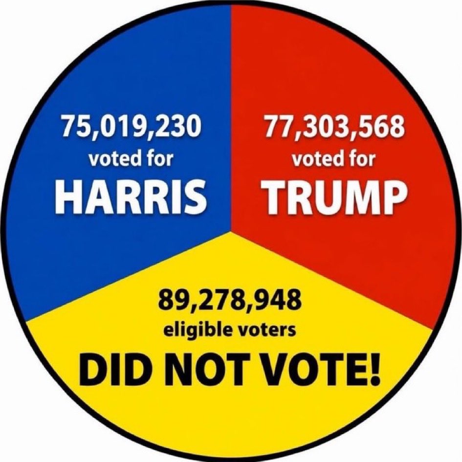 1414Maple's tweet photo. This is how we got Trump. Please don’t ever let it happen again https://t.co/m3sFbRKuXB