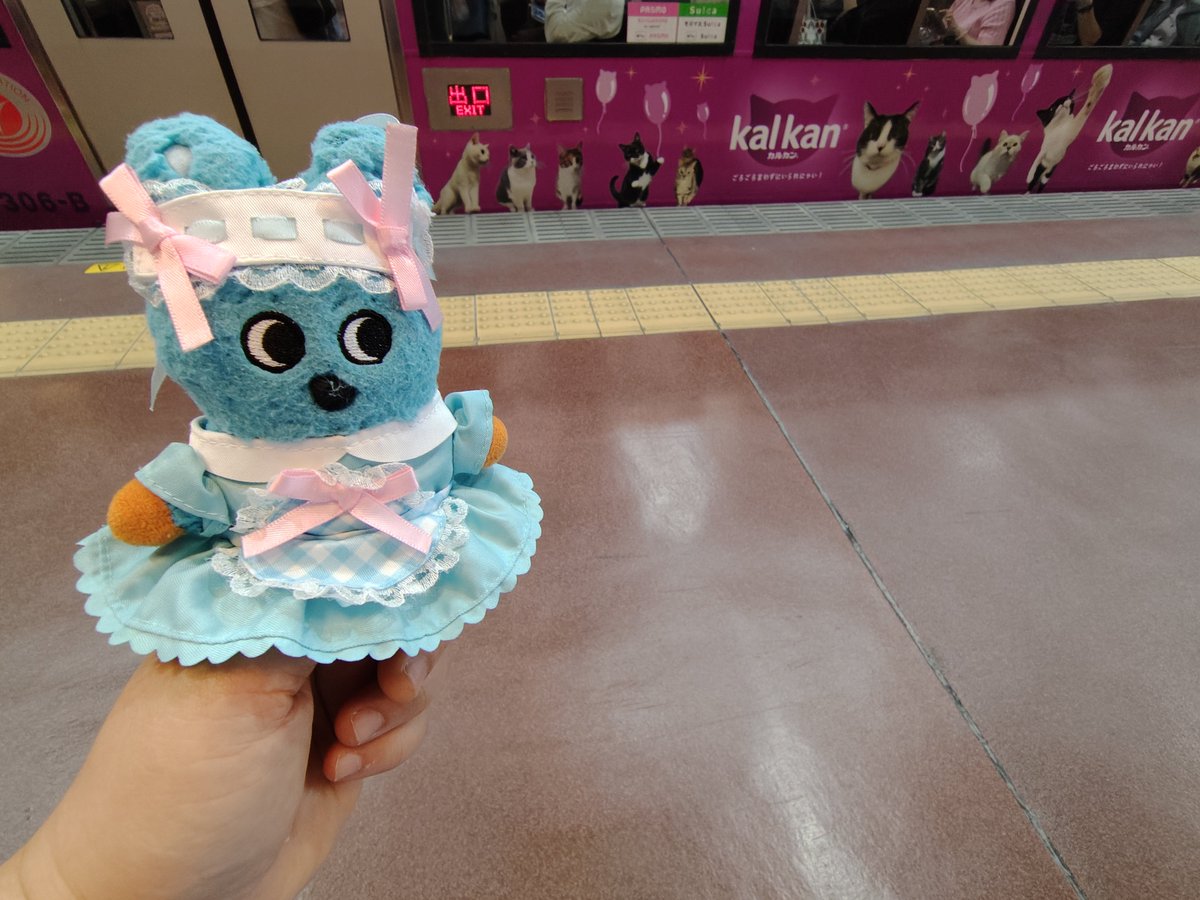 milkymintsheart's tweet photo. 今日もカルカンラッピング電車に会えました🐈🐈‍⬛ #東急世田谷線 #もころん #一家に一匹もころんを #カルカン #にゃんにゃん電車 https://t.co/miqcFxaQBD
