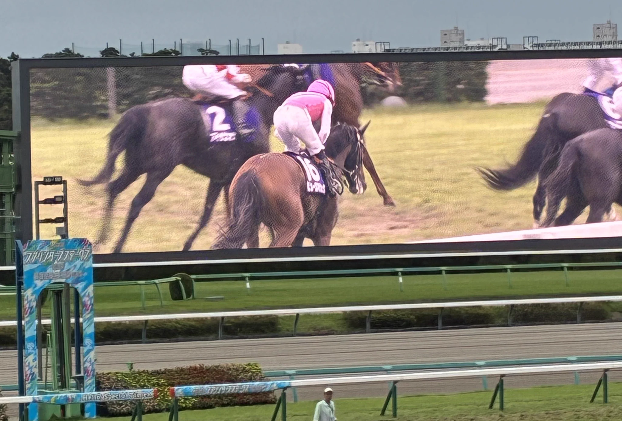 南風暑太郎 auf X: „#スプリンターズS レース前の煽りVで