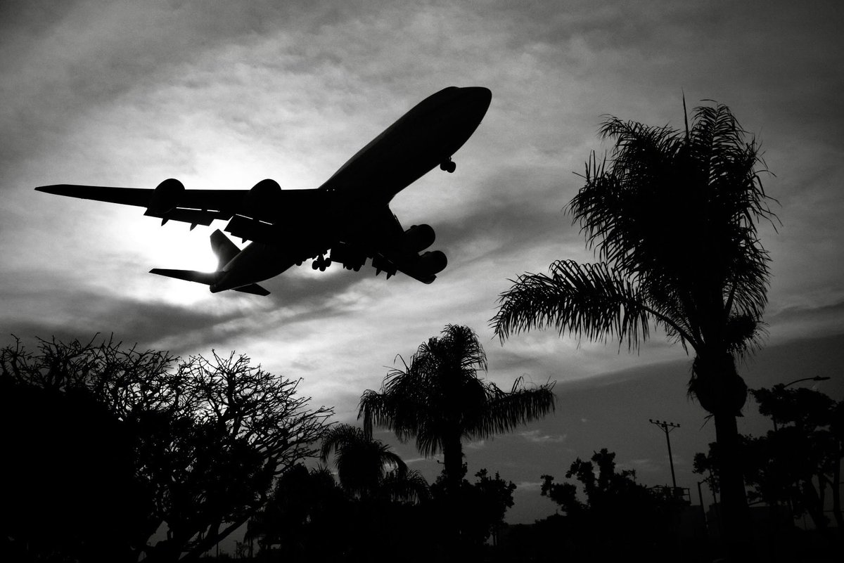 DuaneDCummings's tweet photo. LAX… https://t.co/ZePpw9Utcm