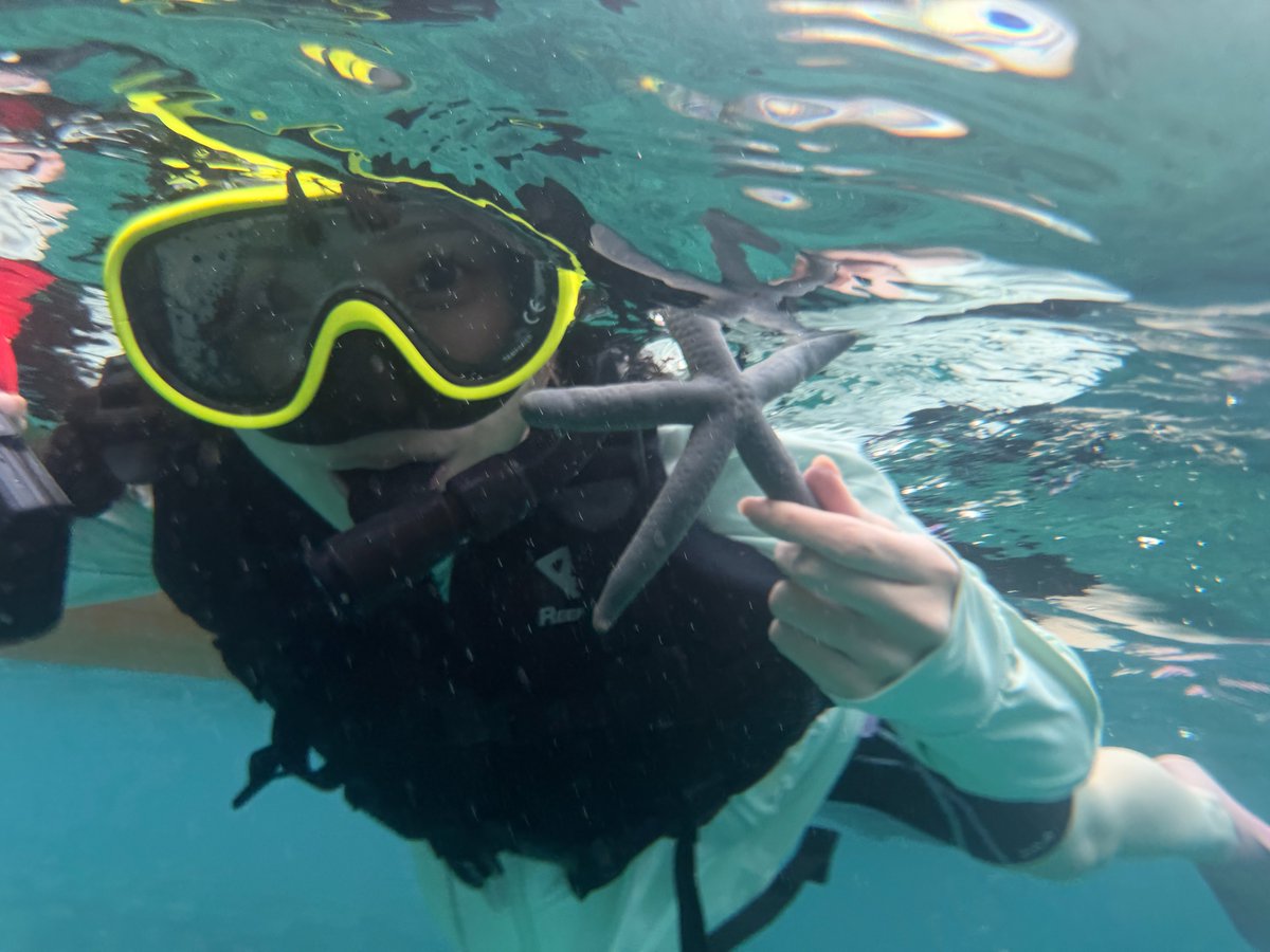 iidahikaroom's tweet photo. ／
#飯田ヒカル の #ヒカROOM
Route OKINAWA🌊
📢予約受付中‼️
＼

📸𝑩𝒆𝒉𝒊𝒏𝒅 𝒕𝒉𝒆 𝑺𝒄𝒆𝒏𝒆𝒔🎬
特別版についてくる映像カードでは、飯田さんがシュノーケリングをする様子を見ることができます🎞️✨

🔻選べるリリイベ付きも！🔻
https://t.co/GEdV9uzgIh https://t.co/nxZHkR46iX