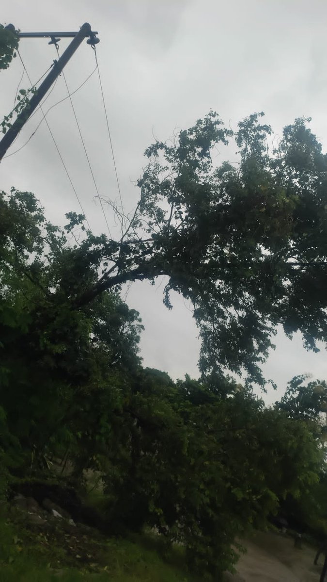 mvvnlAyodhya's tweet photo. वर्टिकल अयोध्या धाम क्षेत्रांतर्गत विभिन्न स्थानों पर तेज आंधी में क्षतिग्रस्त खंभों व 11 केवी लाइनो पर मेंटेनेंस का कार्य किया जा रहा है।
@aksharmaBharat
@EMofficeUP
@ChiefSecyUP
@UPPCLLKO
@UppclChairman
@MVVNLHQ
@ChiefAyodhya
#shutdown
#breakdown https://t.co/wzY8yrIQf6