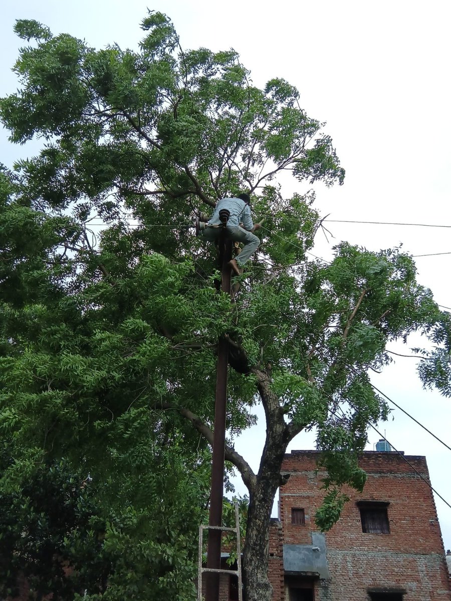 mvvnlAyodhya's tweet photo. वर्टिकल अयोध्या धाम क्षेत्रांतर्गत विभिन्न स्थानों पर तेज आंधी में क्षतिग्रस्त खंभों व 11 केवी लाइनो पर मेंटेनेंस का कार्य किया जा रहा है।
@aksharmaBharat
@EMofficeUP
@ChiefSecyUP
@UPPCLLKO
@UppclChairman
@MVVNLHQ
@ChiefAyodhya
#shutdown
#breakdown https://t.co/wzY8yrIQf6
