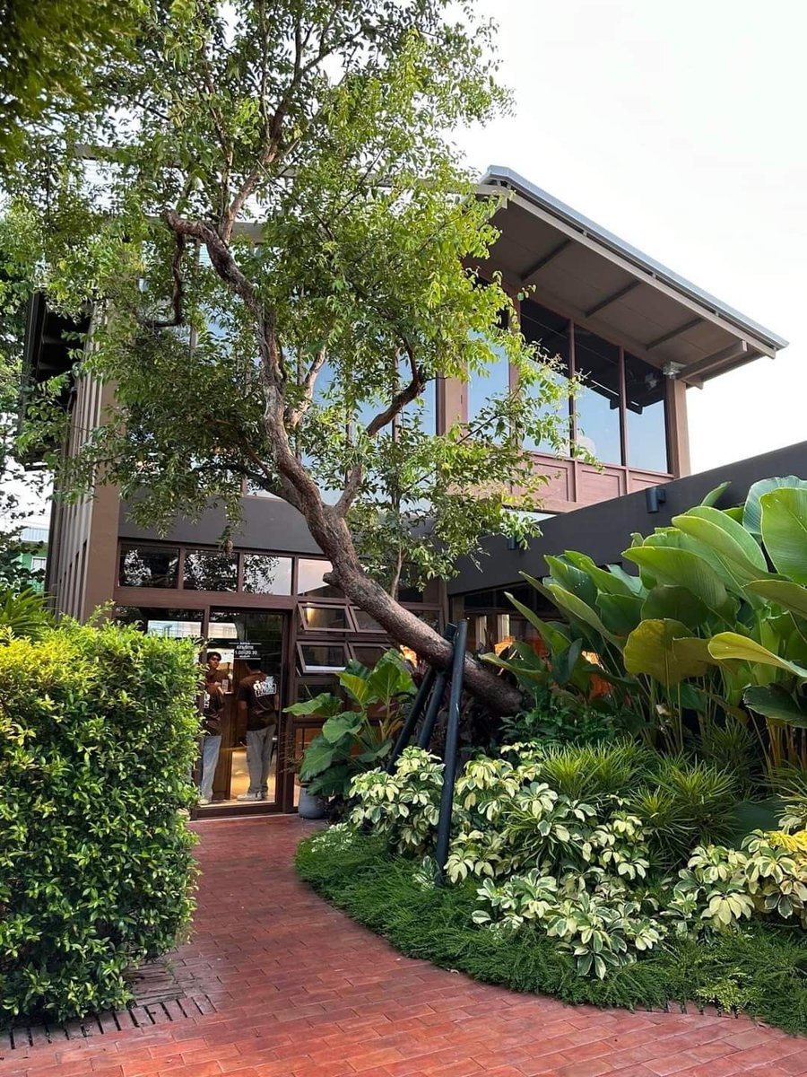 shavnyuyngah's tweet photo. Planting a tree at your entrance costs almost nothing. Yet somehow, most new builds skip it entirely.

We've decided concrete poured wall to wall is what "clean" looks like now. Meanwhile the actual clean is a shaded entrance, real greenery, air that isn't trapped by heat radiating off bare concrete.

This isn't a cost problem. It's a laziness problem, and we're calling it modern.
