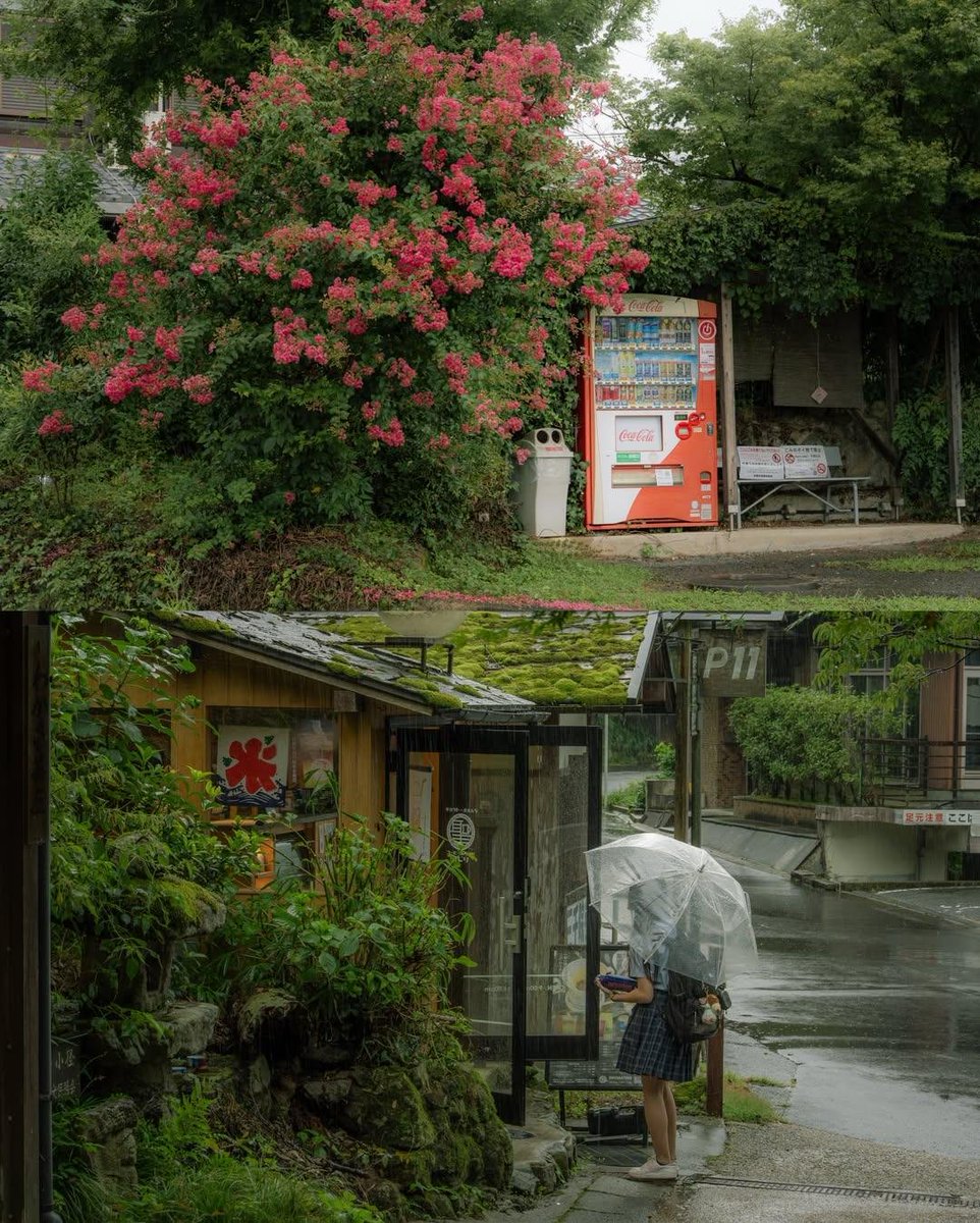 earthserenityy's tweet photo. Kyoto Japan https://t.co/ilif7mV3IO