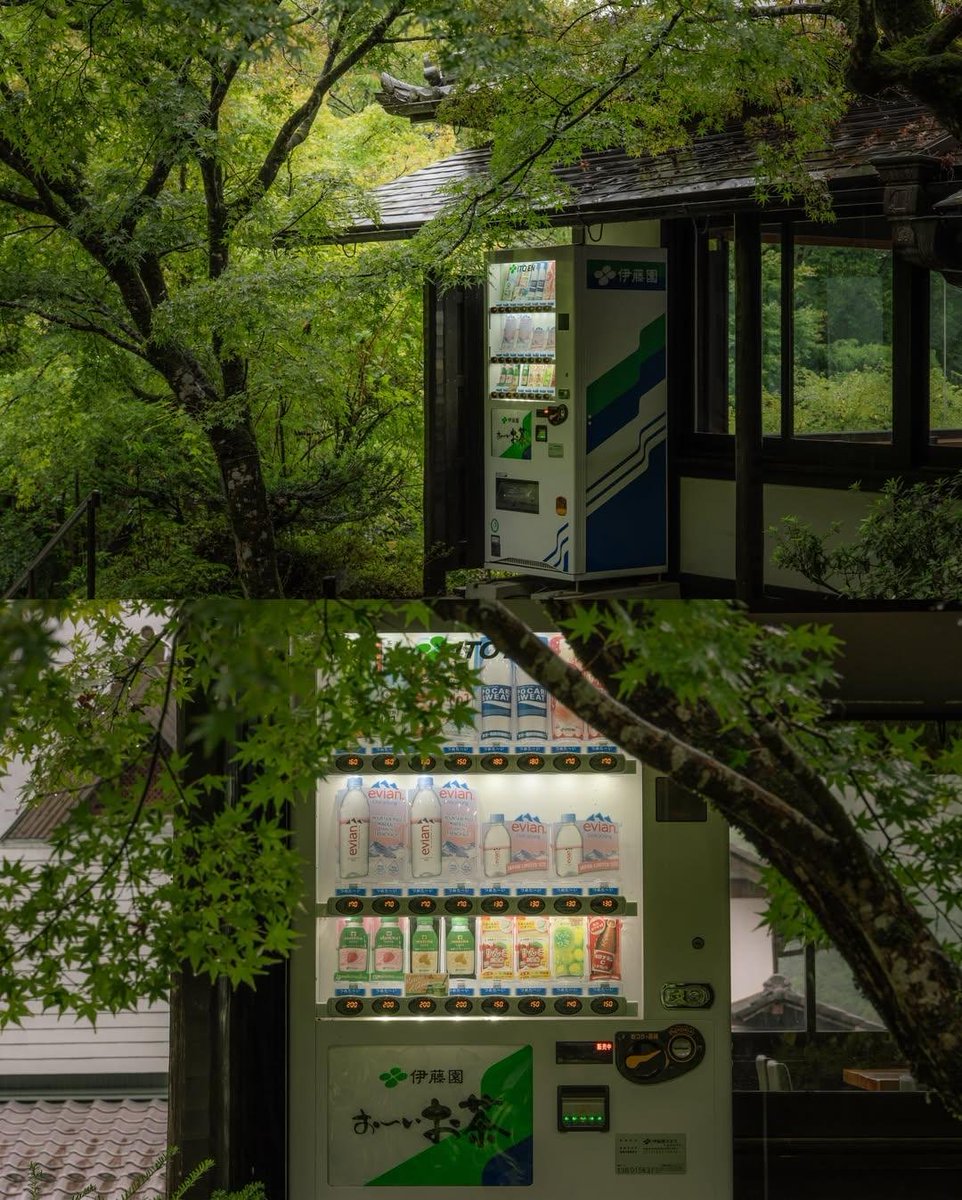 earthserenityy's tweet photo. Kyoto Japan https://t.co/ilif7mV3IO