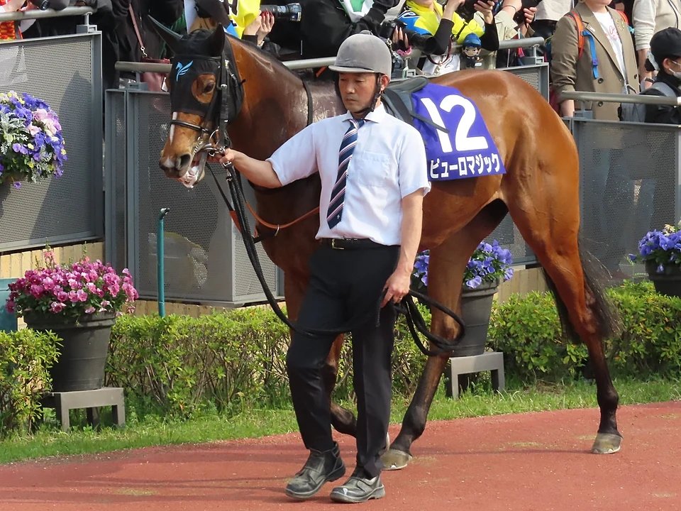 keiba_info_club's tweet photo. スプリンターズＳ

同年のアイビスサマーダッシュとW制覇はカルストンライトオとピューロマジックのみ！

史上2頭目の大記録達成です https://t.co/KhR2GElqM4