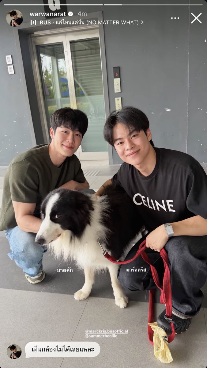 TheoryofYinWar's tweet photo. “เห็นกล้องไม่ได้เลยแหละ”

ป๊าวอร์แซวลูกชายอ่อ 5555
#marckris
#sammerbcollie 
#หยิ่นวอร์ #warwanarat @warwanarat https://t.co/dfTO6F43FI