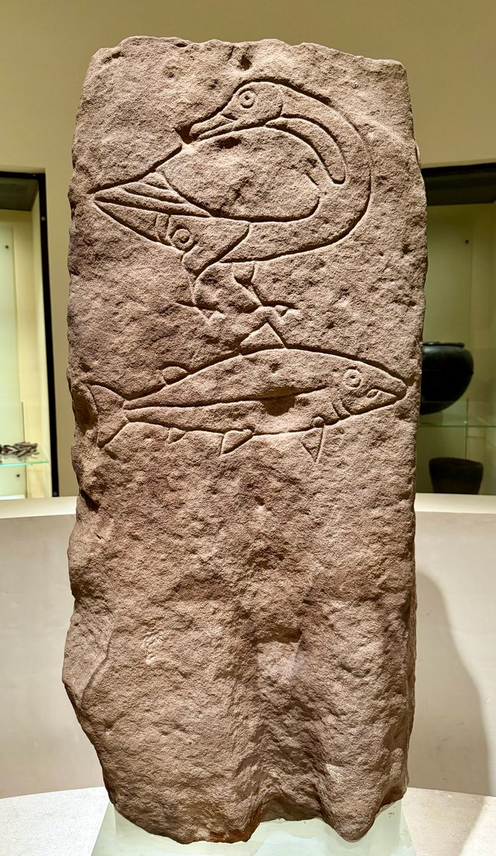 KPW1453's tweet photo. The Easterton Of Roseisle Stone - a Class 1 Pictish Symbol Stone discovered at Moray in 1894. The stone probably dates to the 5th or 6th centuries, and is now part of the collections at the National Museum of Scotland in Edinburgh. 📸 My own #StandingStoneSunday #Picts https://t.co/IZccRIqPYN