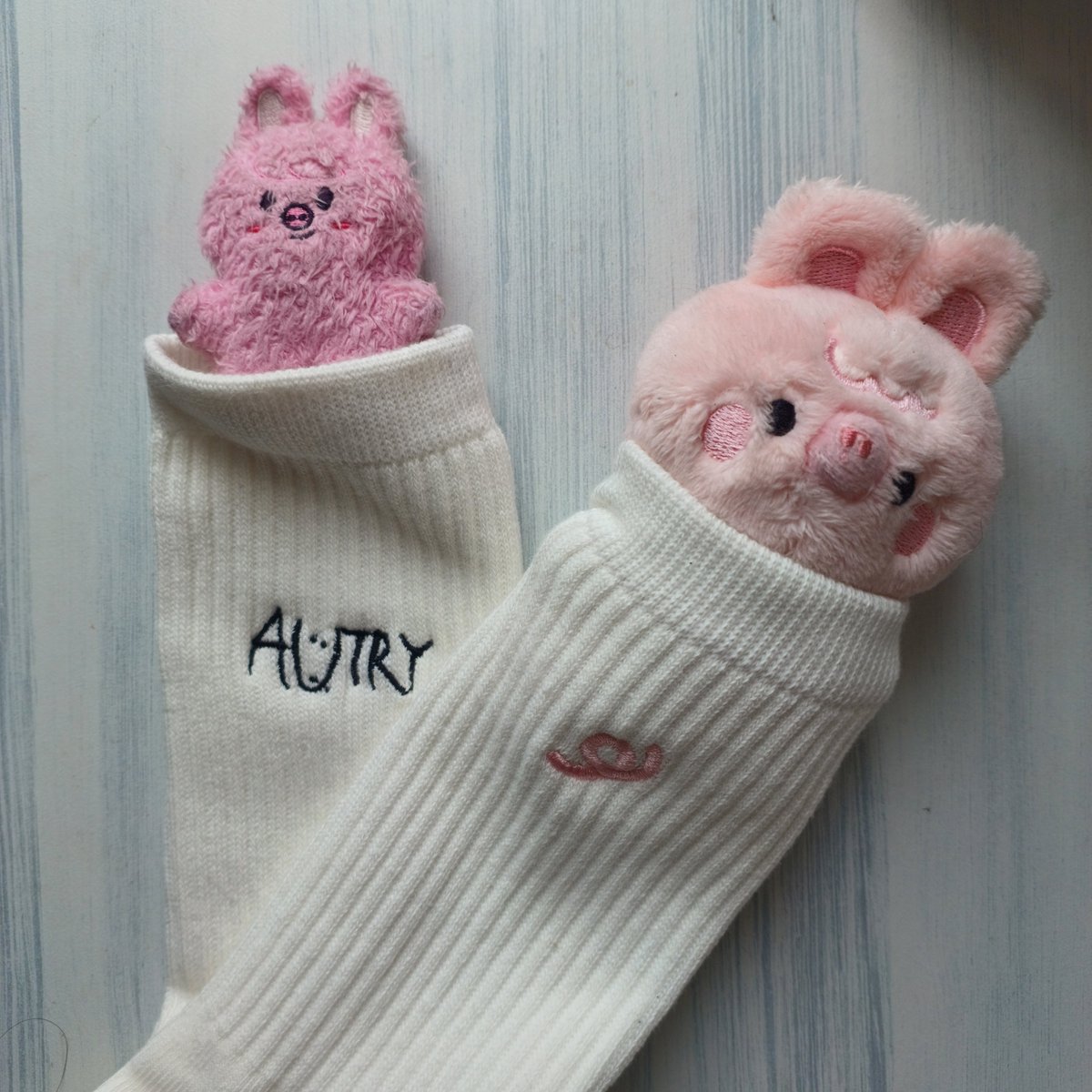 changjinnist's tweet photo. dwaekki in #CHANGBINxAUTRY socks 🩷 https://t.co/eiSrxcKMiL