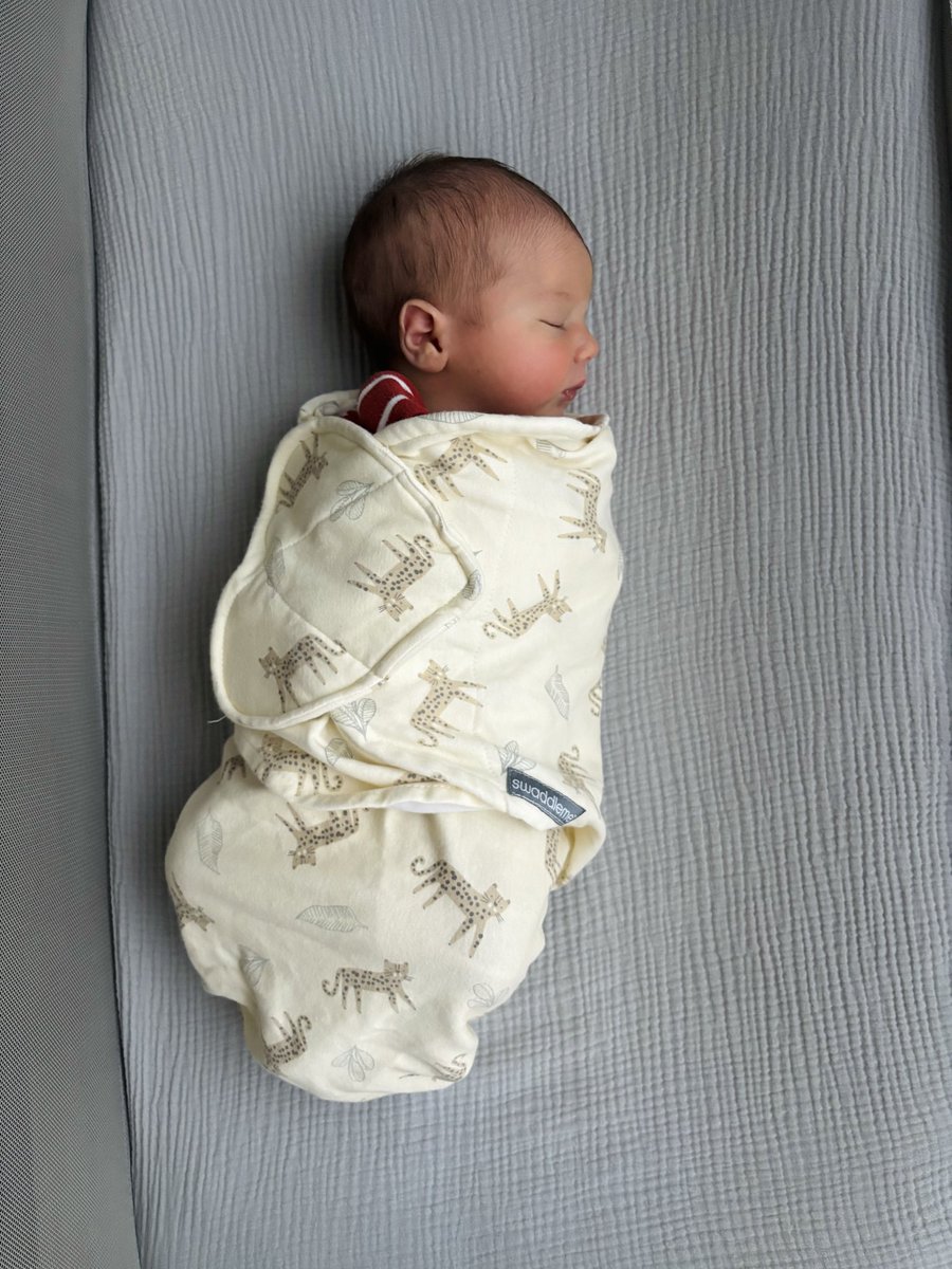 josheidelson's tweet photo. Welcome to the world, Ethan Asher Eidelbaum (איתן אשר איידלבאום)!

Our son was born on the most sacred day of the Jewish year, Yom Kippur. (But he has nothing to apologize for so far.) https://t.co/C0MyxB91xm