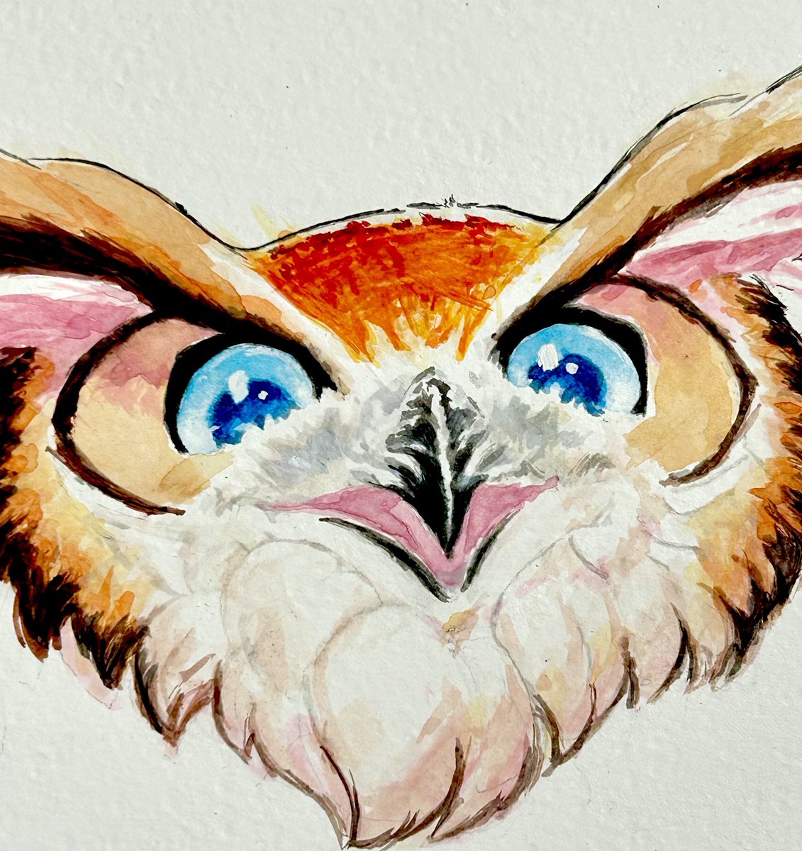 MineheadArt's tweet photo. My genuine reaction at seeing a 1k follower count today, thanks a lot! https://t.co/XBp0xvf6qQ