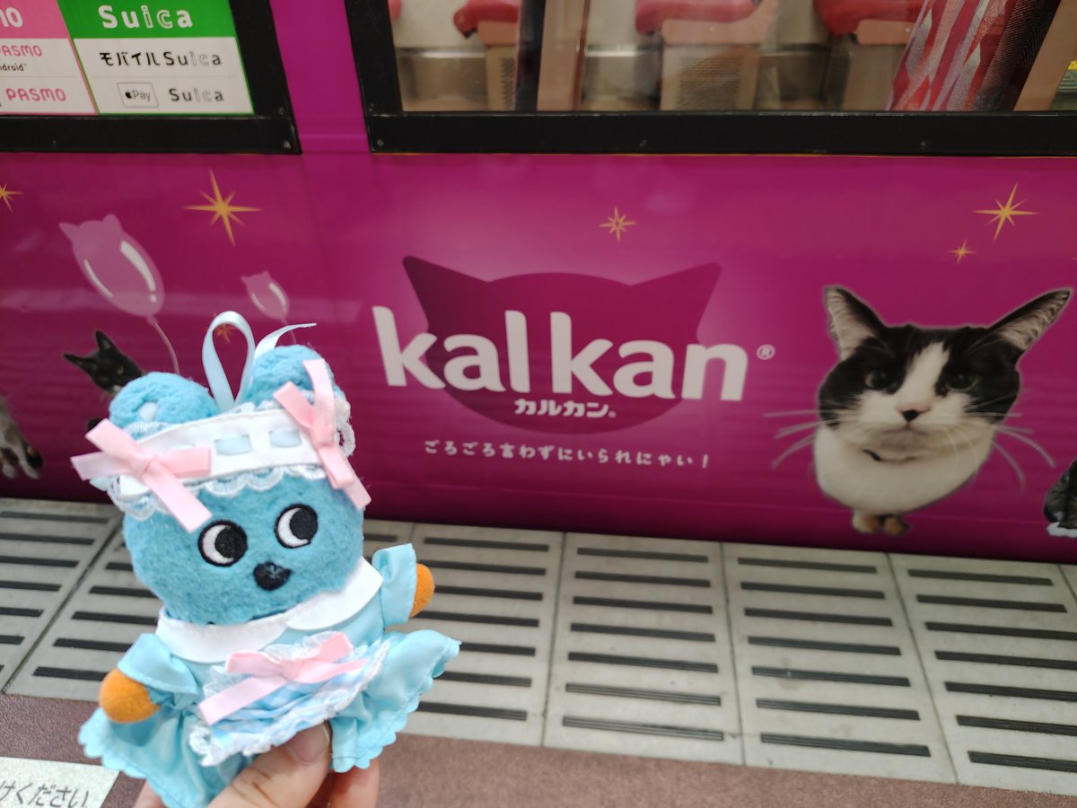 milkymintsheart's tweet photo. @hello_mocoron そして帰りもカルカン電車もこ🐈‍⬛🐈 https://t.co/80Zm9J3mGa