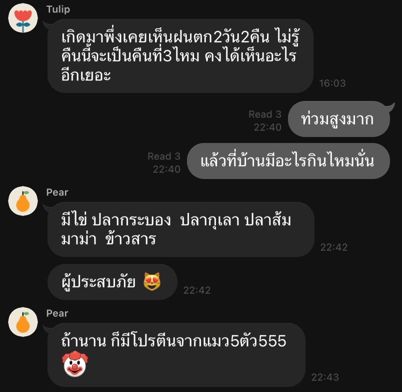 ZetFANY's tweet photo. ทักพ่อแม่ไปด้วยความเป็นห่วงเนาะ บ้านน่าจะน้ำไม่เข้าแต่กลัวแกไม่มีกับข้าว สรุปแม่กุตั้งใจจะผัดแมวห้าตัวที่บ้านกิน สบายใจละ อยู่ได้อีกเป็นเดือน https://t.co/K680EImt5m