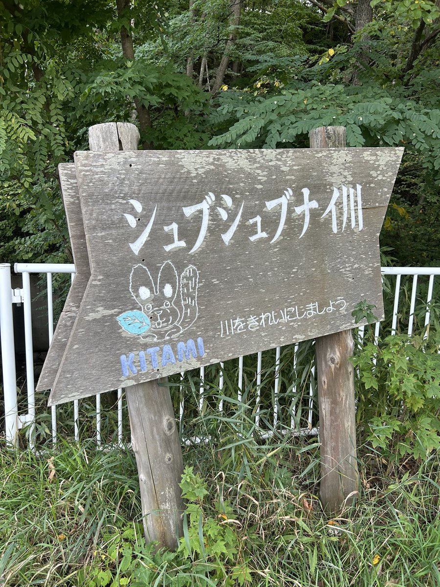 YK0069's tweet photo. オニオンホール周辺散歩
シュブシュブナイ川 https://t.co/hLHOpaN5YL