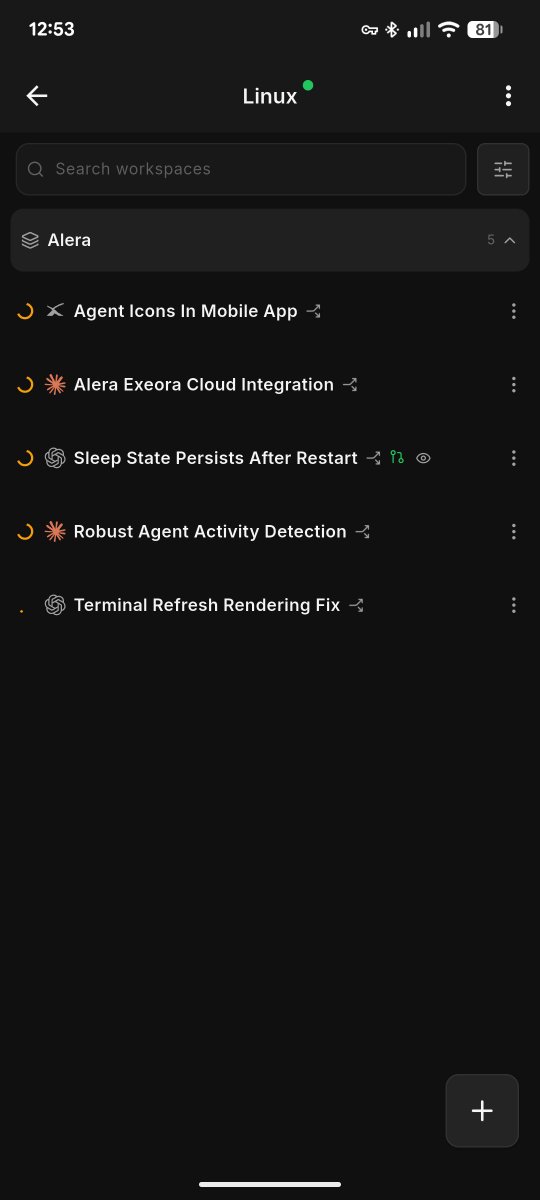 leynier41's tweet photo. One of my favorite parts of @alera_build is the mobile app

I can open a workspace from my phone, watch what the agents are doing, check diffs, and keep typing in the terminal

Same workspaces, same agents, just not stuck at the desk https://t.co/OmnhALsbLR