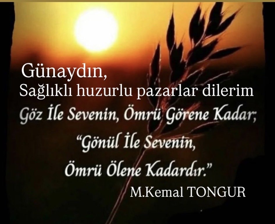 tongur07's tweet photo. @YilmazTunca06 @mustafaozdemr07 https://t.co/rvTI2nyt98