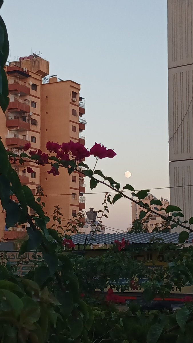 N88_voice's tweet photo. @Aaaasssgc98 https://t.co/0Mbk2M6JnK
