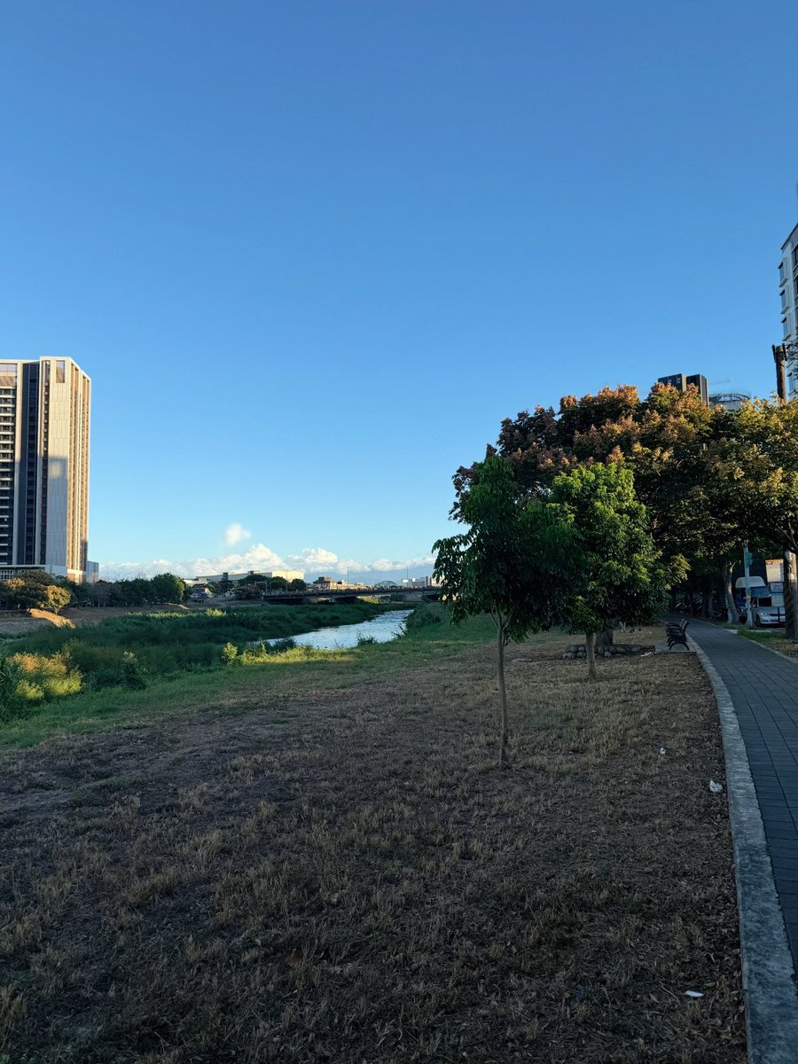 MiuRin_Pax's tweet photo. 川は静かで、静かすぎて少し嘘みたい https://t.co/57d4FCR4qG